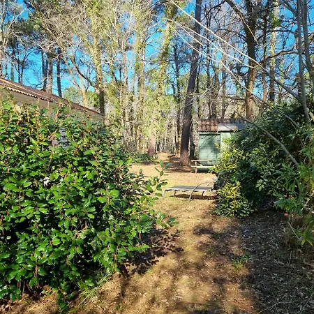 Chalet Les Du Golf De Biscarrosse