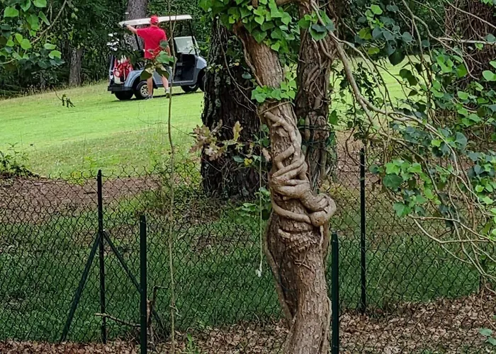 Les Du Golf De Chalé Biscarrosse